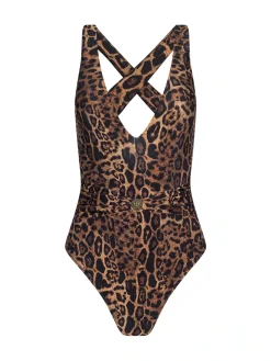 Lisa Plunge One-Piece Swimsuit