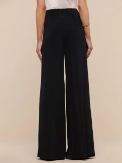 Nova Pleated Wide-Leg Pant