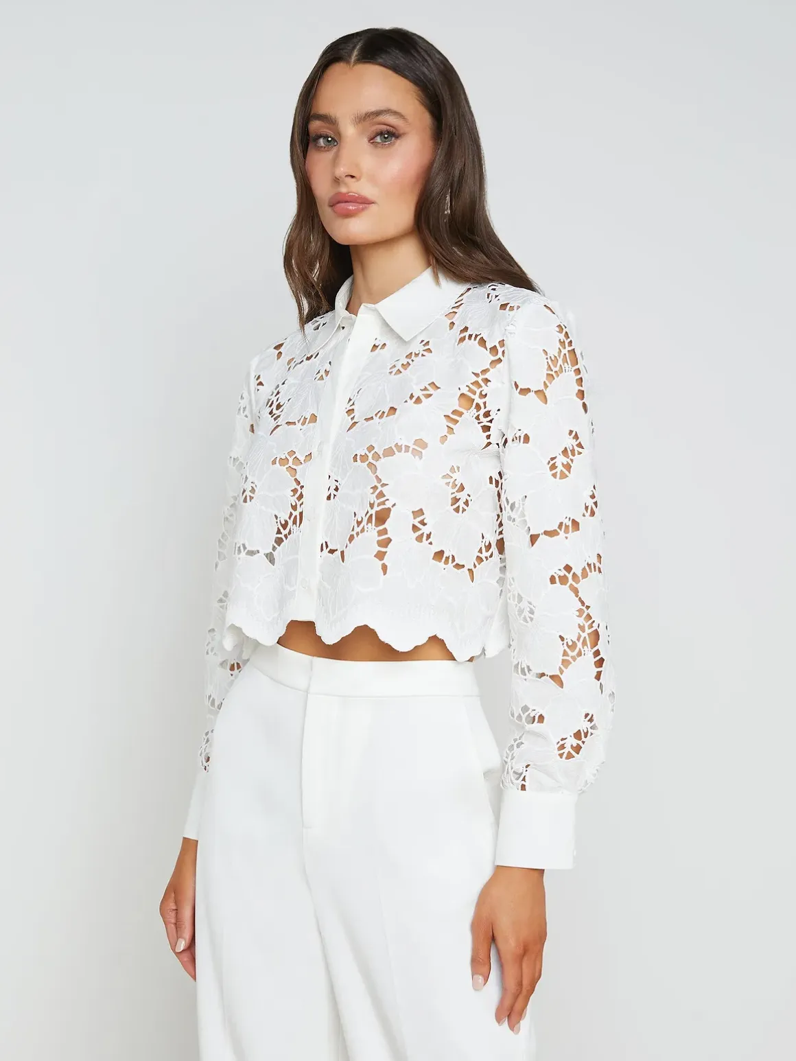 Seychelle Cropped Eyelet Blouse