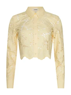 Seychelle Cropped Eyelet Blouse