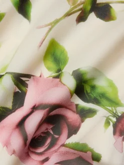 Viola Silk Cowl-Neck Gown